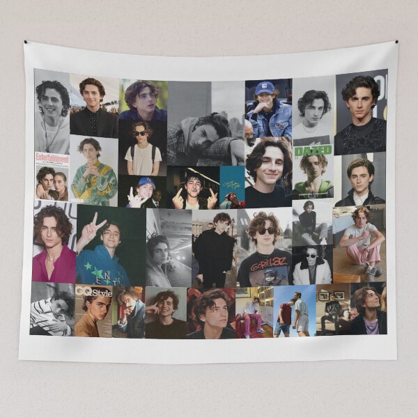 Item preview, timothée designed and sold by Hayden Mattus.