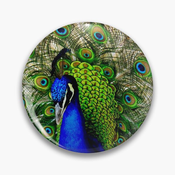 Item preview, Peacock's Plummage designed and sold by BBrightman.