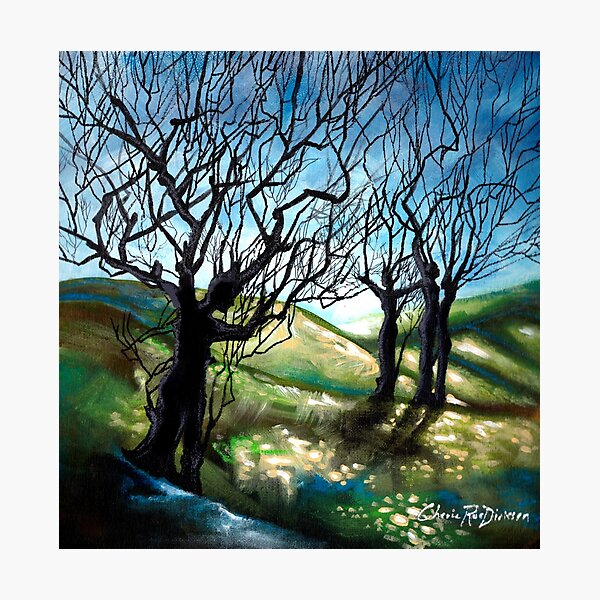 Tree Figures Photographic Print