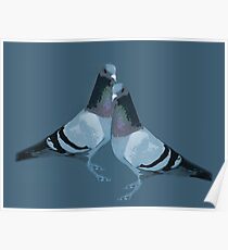 Love of Dove Poster