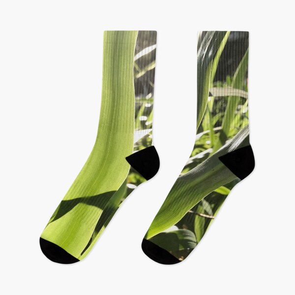 Item preview, Glowing Translucent Leaves - Nature designed and sold by joejiing.