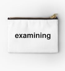 examining Studio Pouch