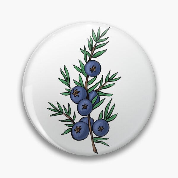 Top more than 59 juniper berries tattoo super hot in.eteachers