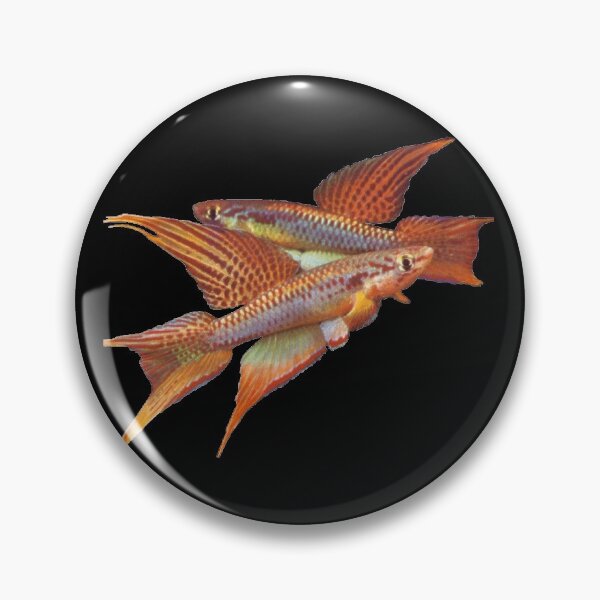 Item preview, BIT Killifish - Scheel  designed and sold by killies.