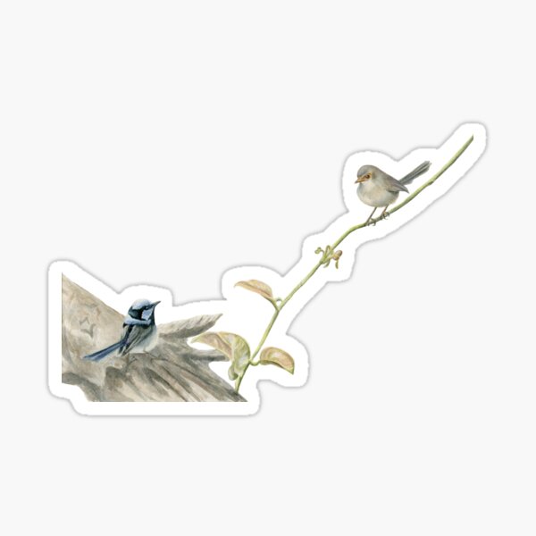 Item preview, Superb Blue Wrens, Superb Fairy Wrens on a Vine Watercolour designed and sold by RachaelCurryArt.