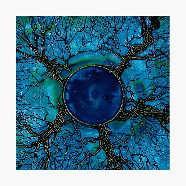 Interconnected Tree of Life Photographic Print