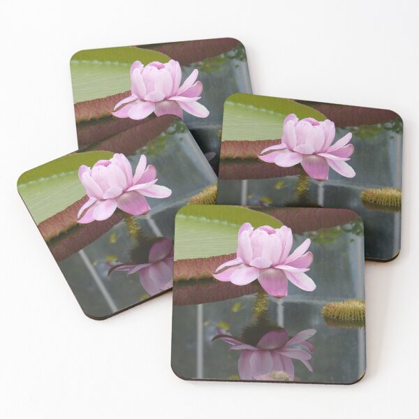 Item preview, Large Pink Lotus with Water Reflection designed and sold by killies.