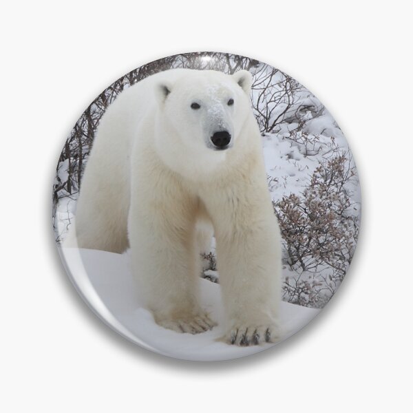 Item preview, Polar Bear Coming out of the Arctic Willow designed and sold by Carole-Anne.