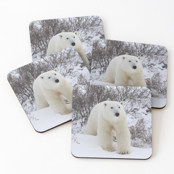 Item preview, Polar Bear Coming out of the Arctic Willow designed and sold by Carole-Anne.