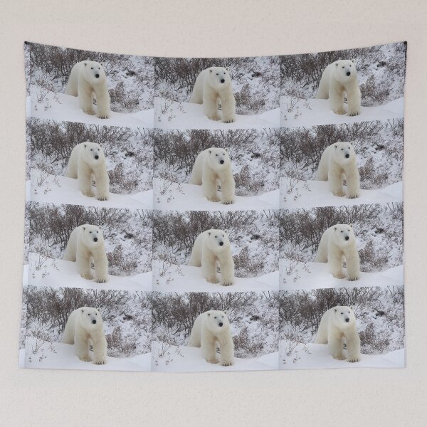 Item preview, Polar Bear Coming out of the Arctic Willow designed and sold by Carole-Anne.