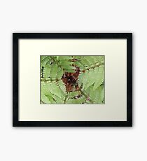 Farn Nr. 2 Framed Print