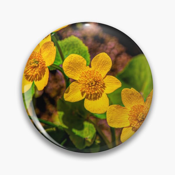 Aperçu de l'œuvre Marsh-marigold créée et vendue par Veikko  Suikkanen.