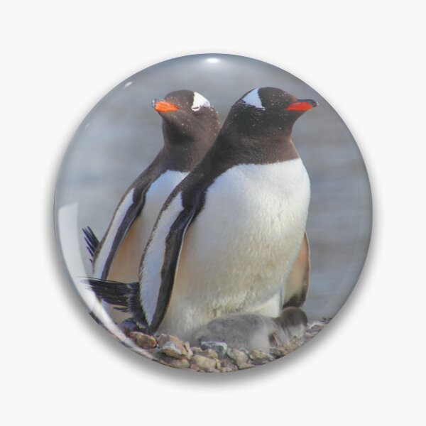 Item preview, Pair of Gentoo Penguins on the Nest with Chicks designed and sold by Carole-Anne.