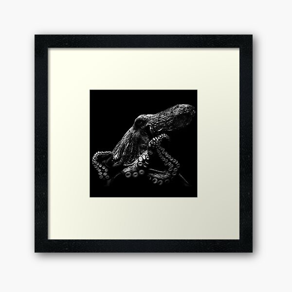 Item preview, Black & White Octopus Print designed and sold by Roarshack Designs.