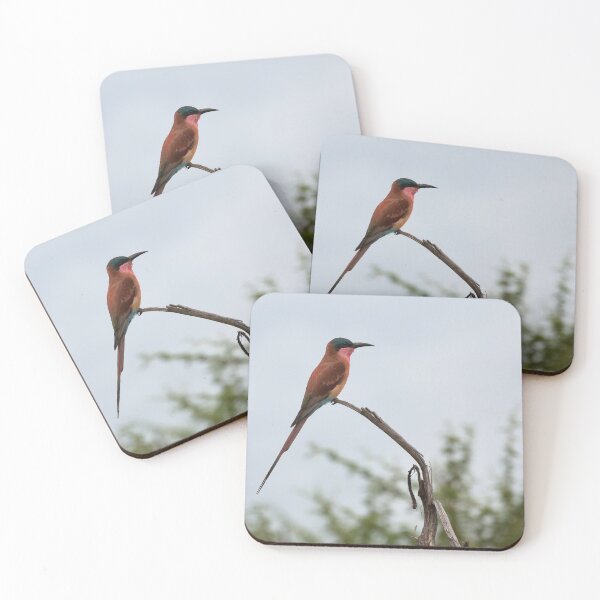 Item preview, Southern Carmine Bee-Eater (Merops nubicoides) designed and sold by Yair Karelic.