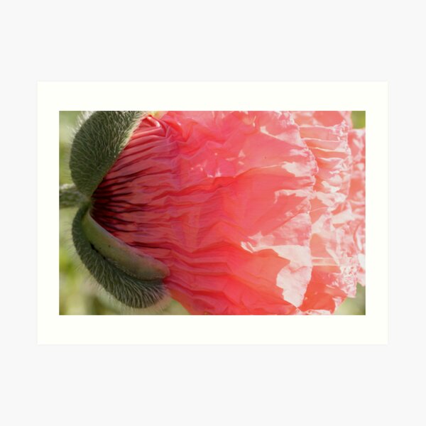 vomiting love Art Print