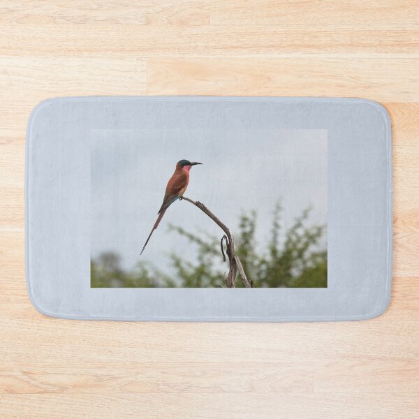 Item preview, Southern Carmine Bee-Eater (Merops nubicoides) designed and sold by Yair Karelic.