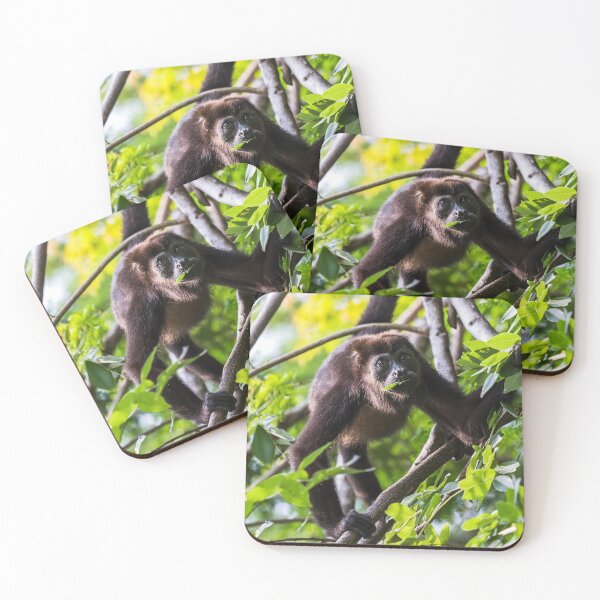 Item preview, Howler monkey enjoying a few leaves designed and sold by wellsie82.
