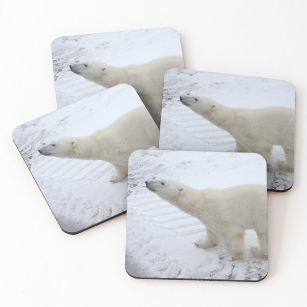 Item preview, Inquisitive Polar Bear designed and sold by Carole-Anne.