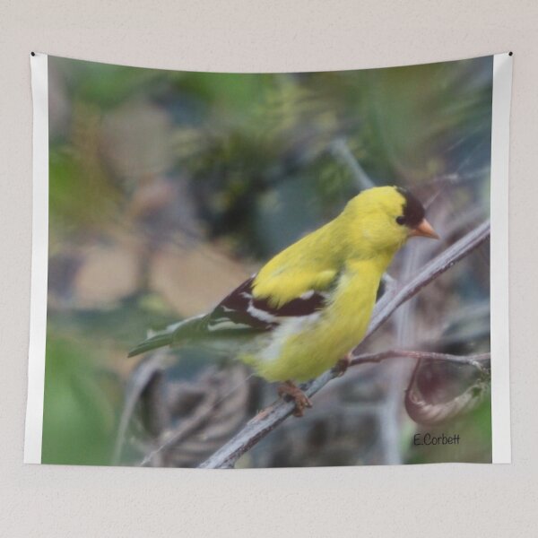 Item preview, American Goldfinch designed and sold by Penwortham.
