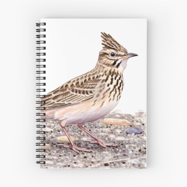 Item preview, Crested Lark designed and sold by kokayart.