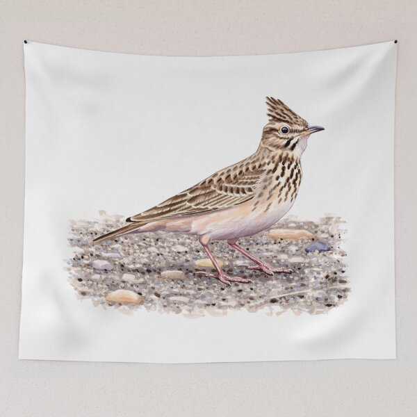 Item preview, Crested Lark designed and sold by kokayart.