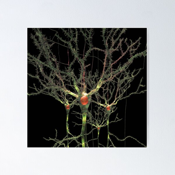 Item preview, Neurons or Brain Cells designed and sold by Russell Kightley.