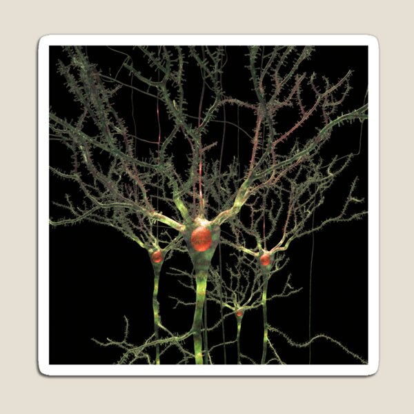 Item preview, Neuronas o Células Cerebrales designed and sold by Russell Kightley.