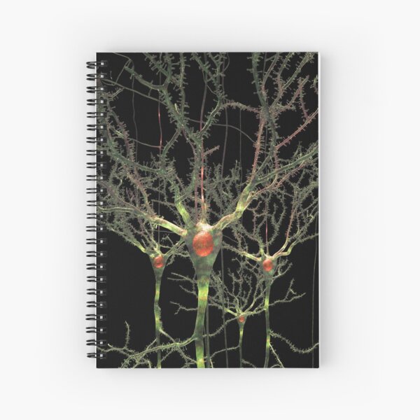 Neurons or Brain Cells Spiral Notebook