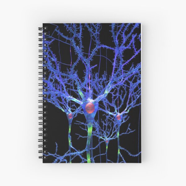 Blue Neurons or Brain Cells Spiral Notebook