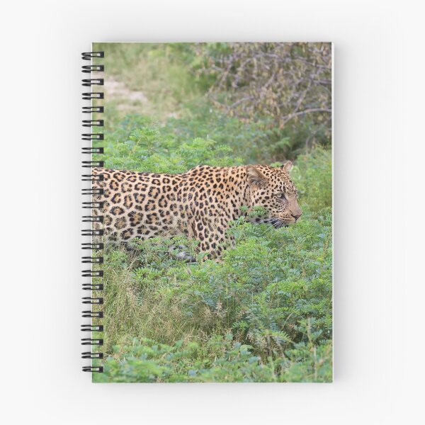 Item preview, African Leopard (Panthera pardus pardus) designed and sold by Yair Karelic.