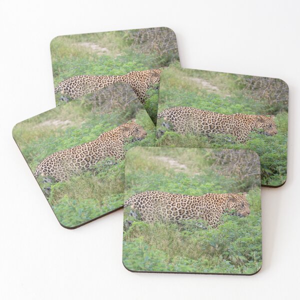 Item preview, African Leopard (Panthera pardus pardus) designed and sold by Yair Karelic.