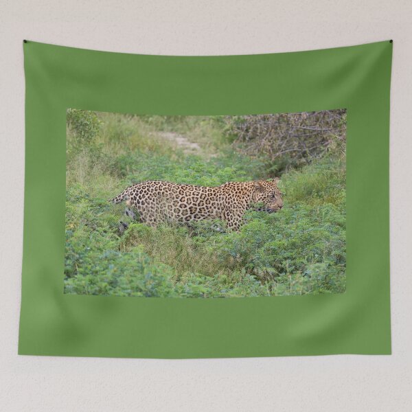 Item preview, African Leopard (Panthera pardus pardus) designed and sold by Yair Karelic.