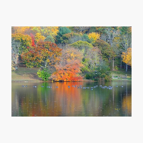 Item preview, NATURE ALWAYS WEARS THE COLOR OF THE SPIRIT. designed and sold by Barbny.