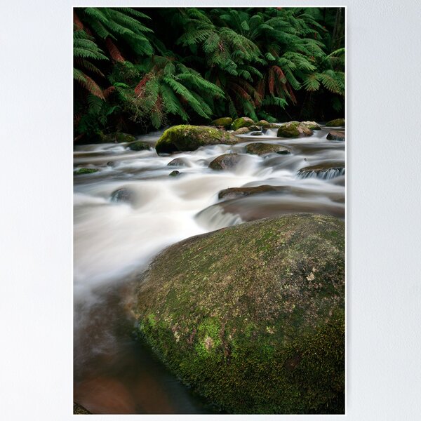 Item preview, Rocks and Rainfall - Noojee, Victoria, Australia designed and sold by Sean Farrow.