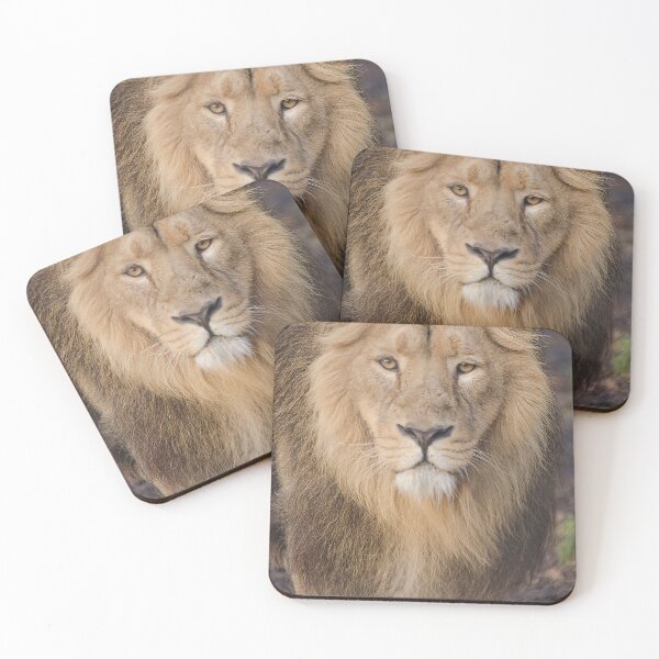 Item preview, Watching you  designed and sold by Darren Wilkes Wildlife UK.