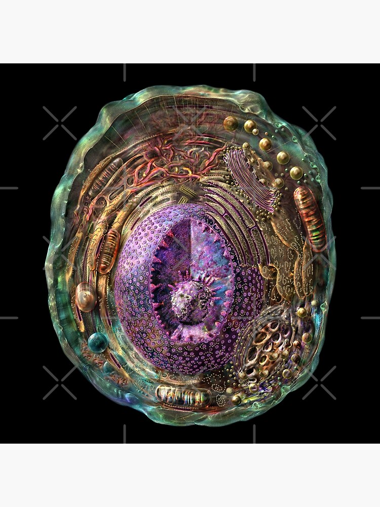 Imagen 3 de 3, Póster con la obra Estructura de la célula animal, diseñada y vendida por Kightleys.