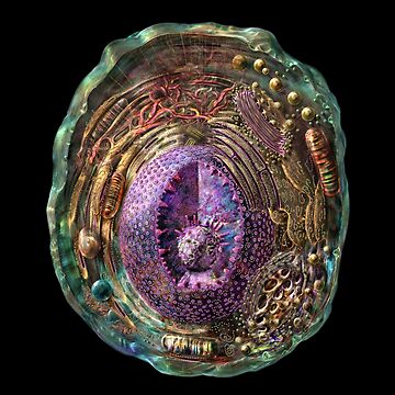 Imagen de la obra Estructura de la célula animal de Russell Kightley