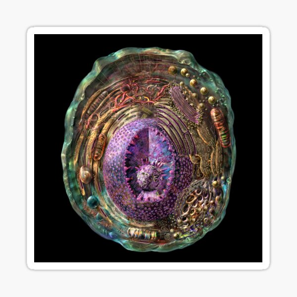 Animal Cell Structure Sticker