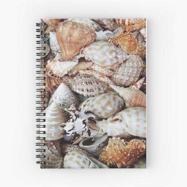 Item preview, Sea Shells designed and sold by Alexandra Lavizzari.