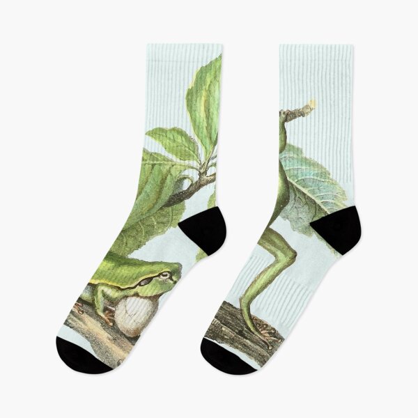 Item preview, Frogs designed and sold by philozei.