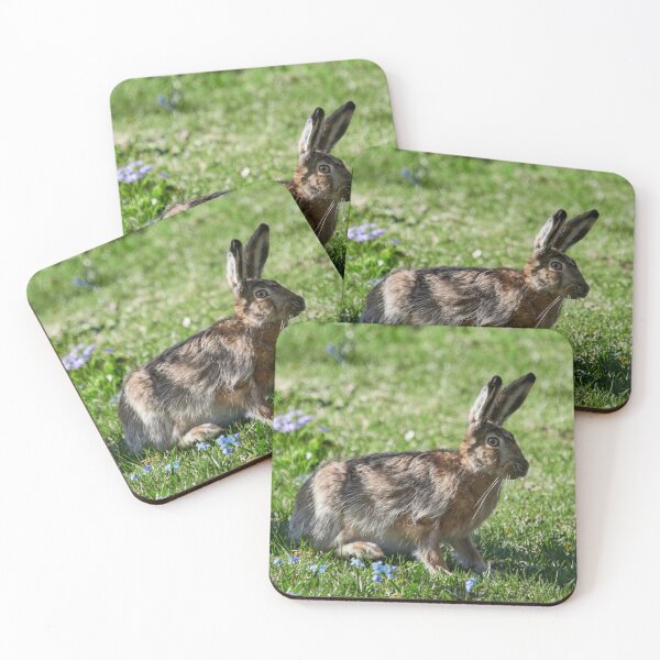 Item preview, With the blue flowers. European hare designed and sold by Jouko Lehto Photography.