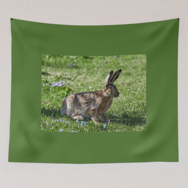 Item preview, With the blue flowers. European hare designed and sold by Jouko Lehto Photography.