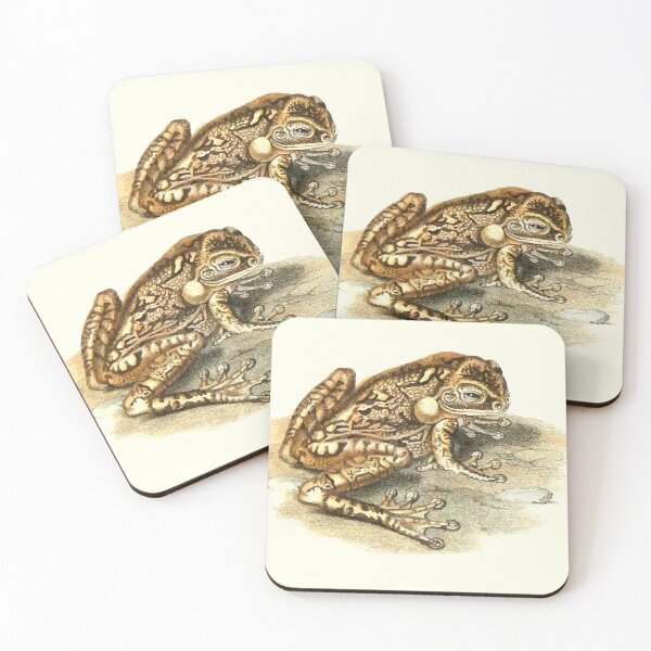 Item preview, Frog designed and sold by philozei.