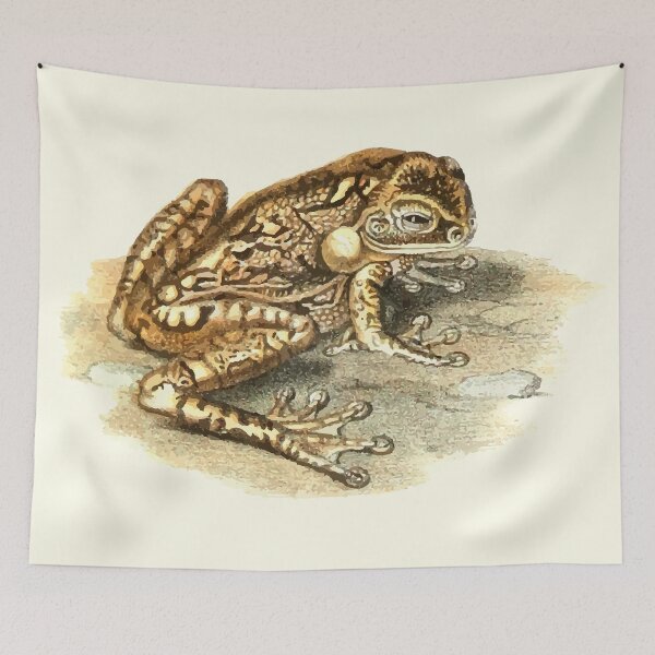 Item preview, Frog designed and sold by philozei.