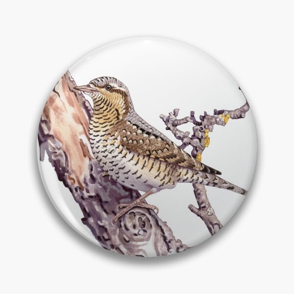 Item preview, Eurasian wryneck designed and sold by kokayart.