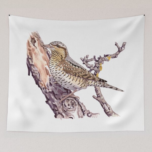 Item preview, Eurasian wryneck designed and sold by kokayart.