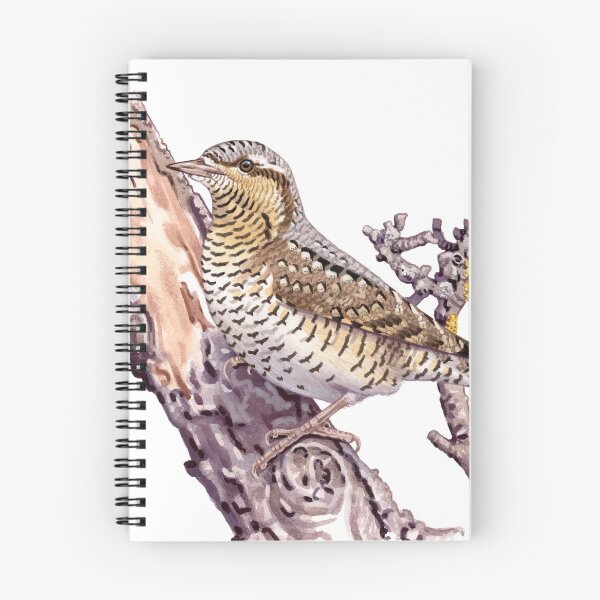 Item preview, Eurasian wryneck designed and sold by kokayart.