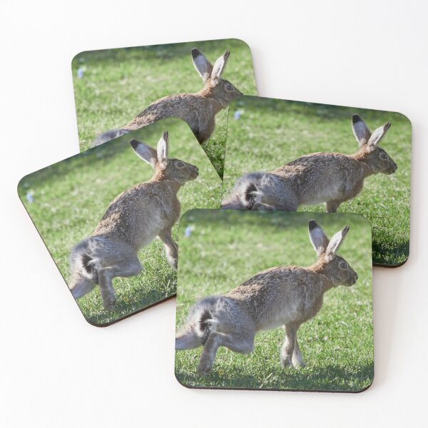 Item preview, Ready steady go. European hare designed and sold by Jouko Lehto Photography.