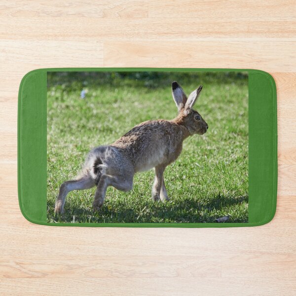 Item preview, Ready steady go. European hare designed and sold by Jouko Lehto Photography.